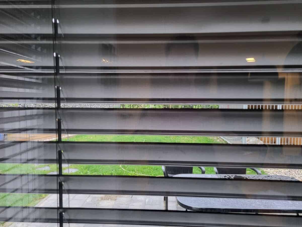 Why you shouldn't close your blinds during the day