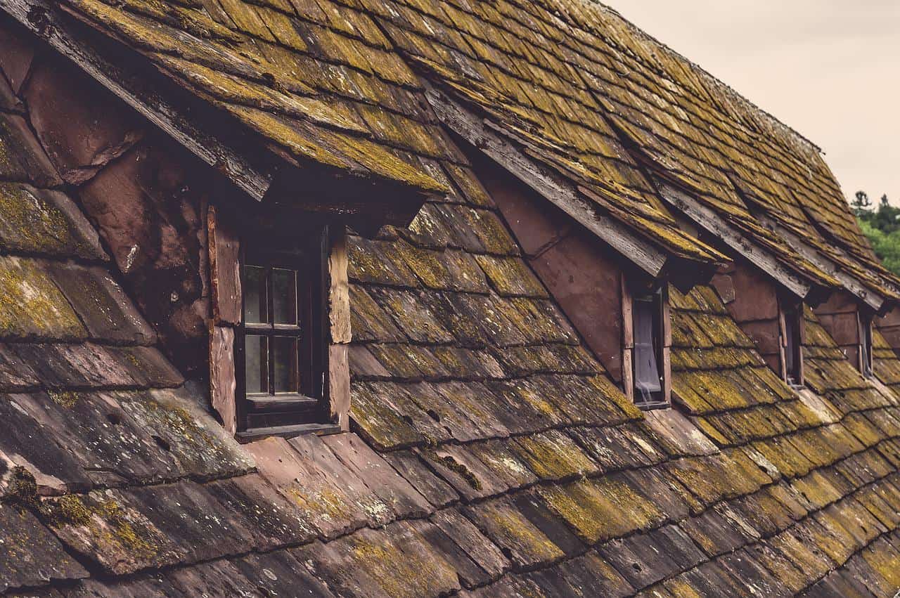 How to remove moss from roof naturally