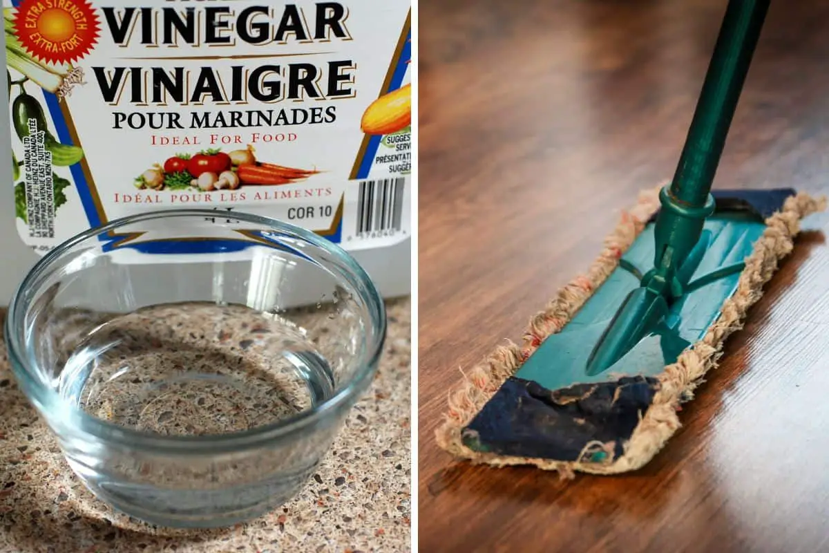 Can you put vinegar in a steam mop
