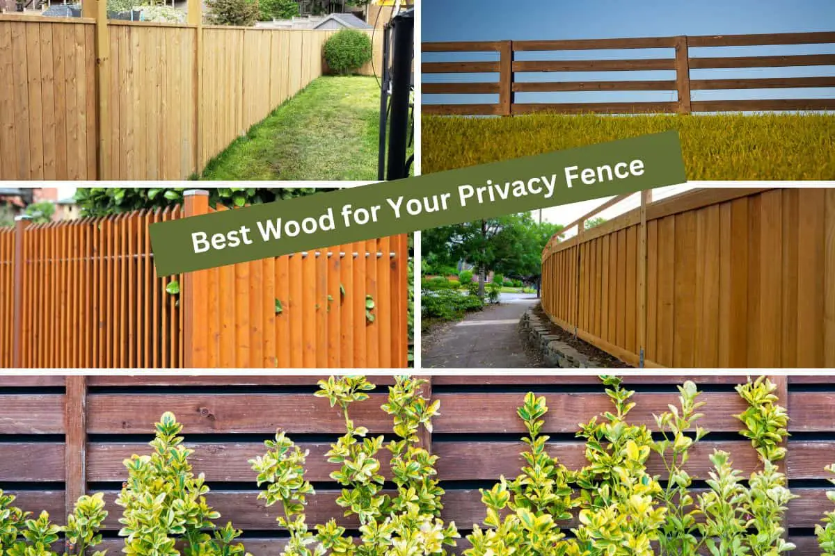 Best Wood for privacy fence